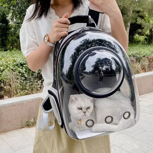 Transparent - Clear  Cat - Small Dog  Backpack