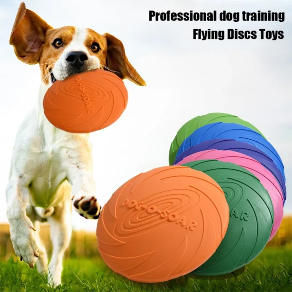 Dog Flying Disc Toy