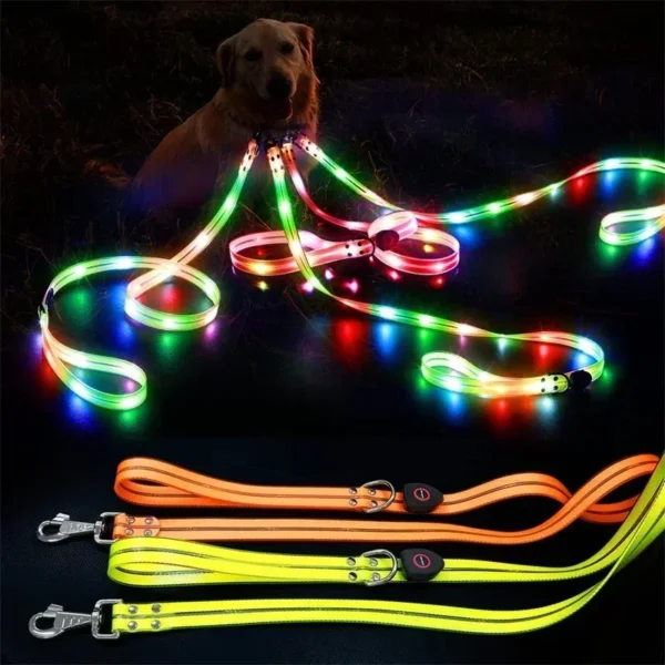 Led Light Up Dog Leash & Collar