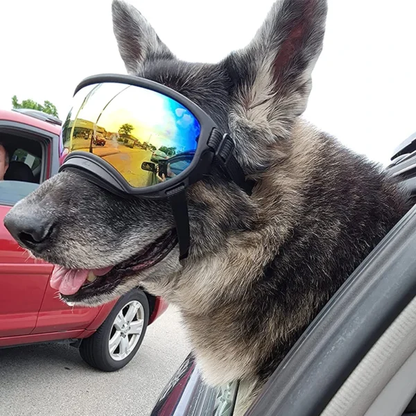 UV  Protective Dog Goggles /Sun Glasses