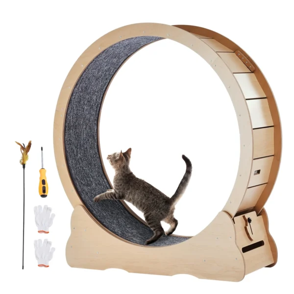 Cat Indoor Teadmill Wheel