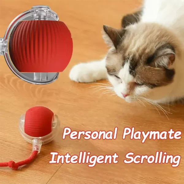 Cat Automatic Teaser Ball and Rotating Stick