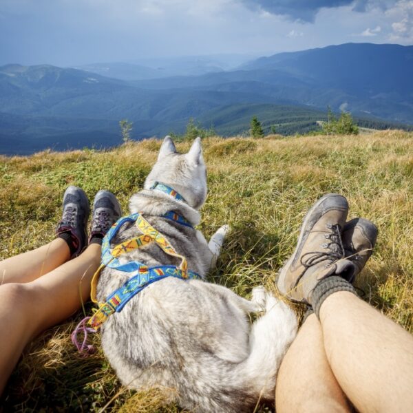Outdoor & Travel Gear