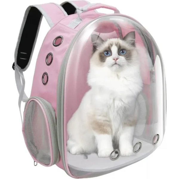 Cat /Small Dog Transparent Backpack