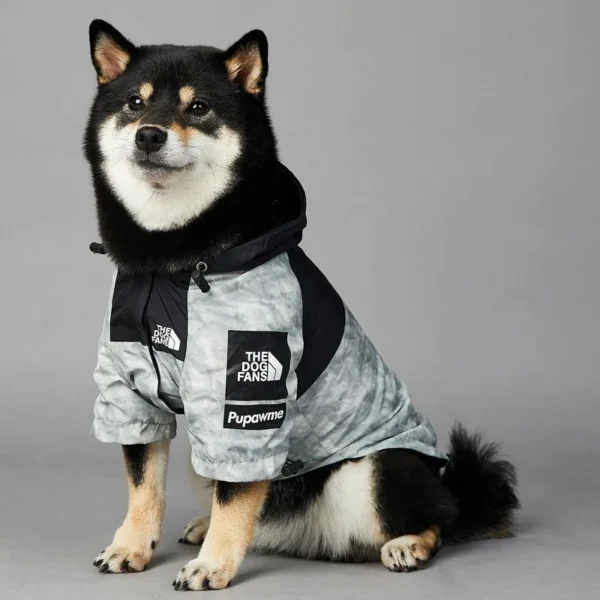 Raincoat For Small & Big Dogs